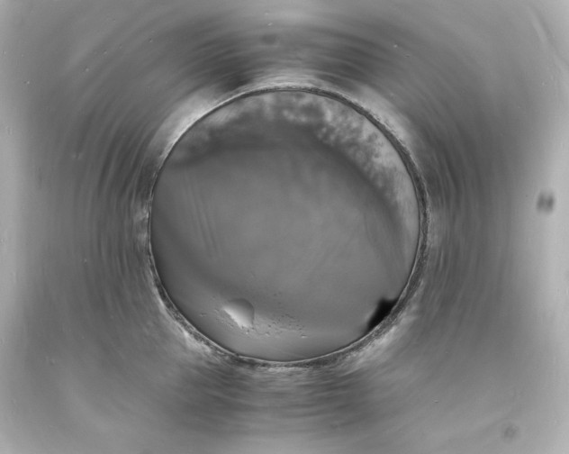 X0000094060953200711021442