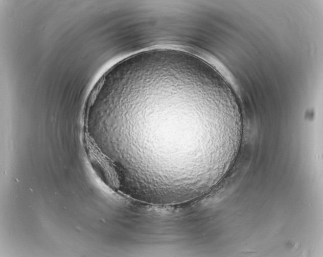X0000094060955200711021442