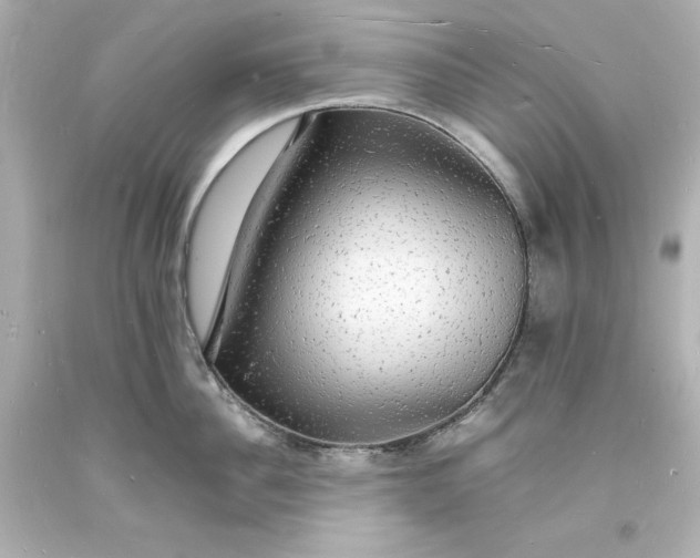 X0000094060956200711021442