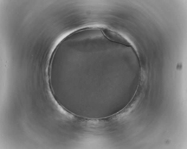 X0000094060959200711021442
