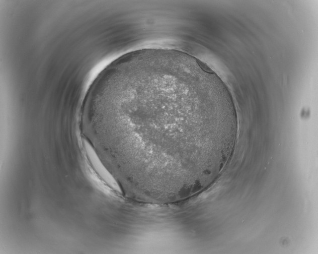 X0000094060960200711021442