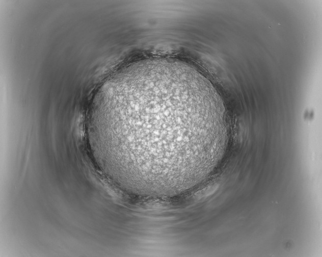 X0000094060962200711021442