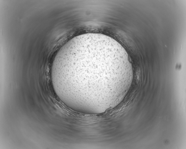 X0000094060964200711021442