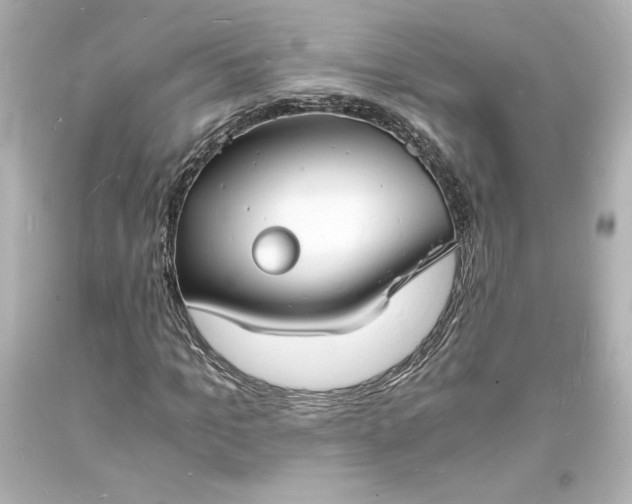 X0000094060965200711021442