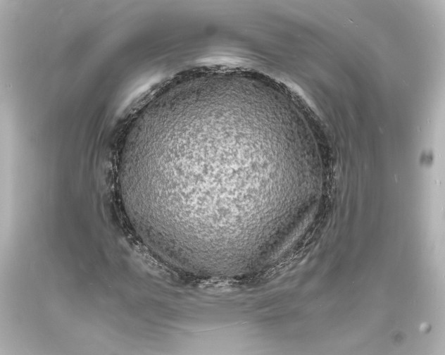 X0000094060967200711021442