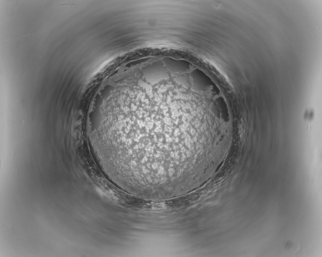 X0000094060968200711021442