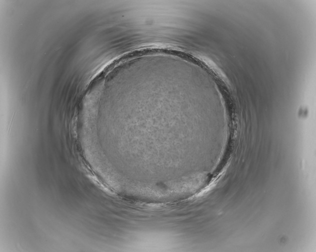 X0000094060969200711021442