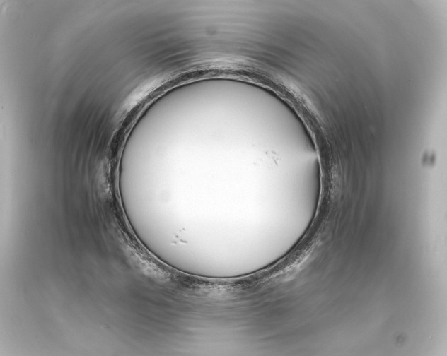X0000094060970200711021442