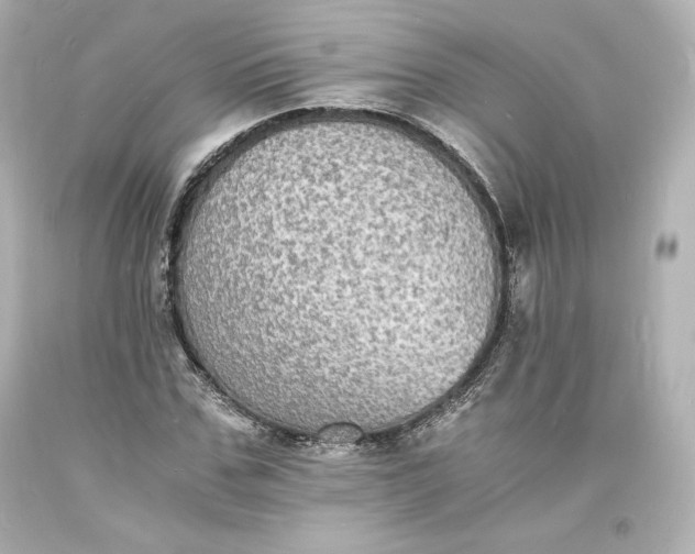 X0000094060971200711021442