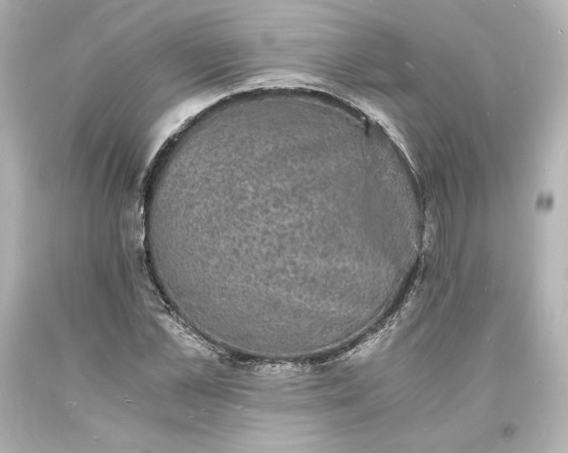 X0000094060973200711021442