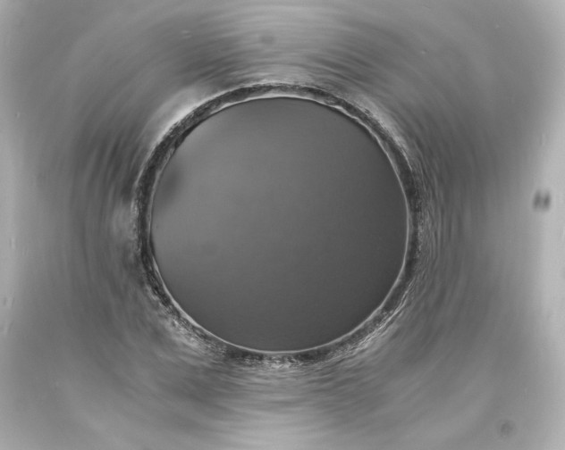 X0000094060975200711021442