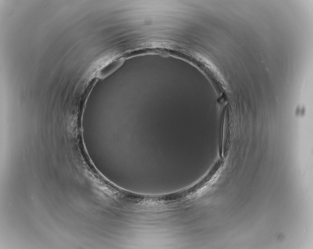 X0000094060977200711021442