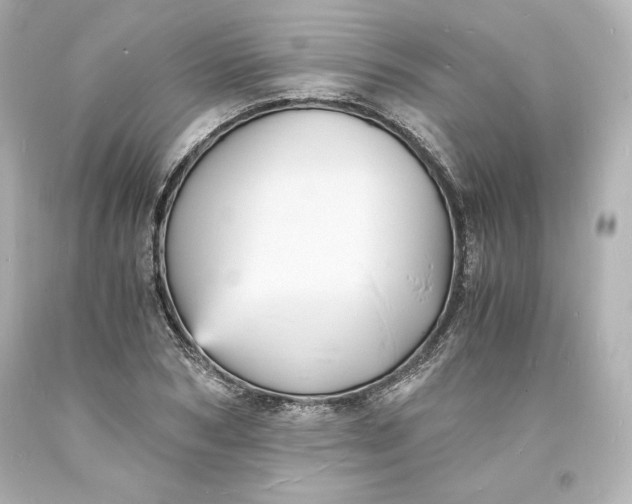 X0000094060978200711021441