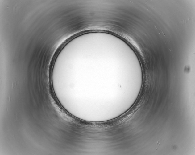 X0000094060980200711021441
