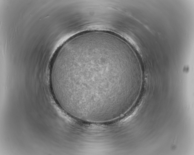 X0000094060981200711021441