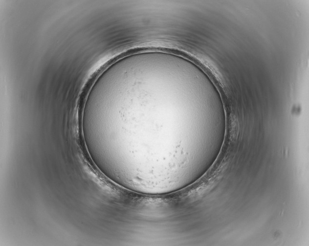 X0000094060982200711021441