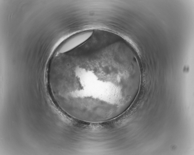X0000094060983200711021441