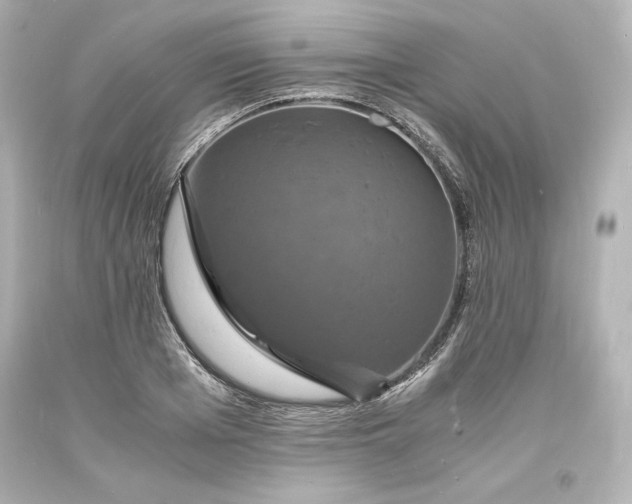 X0000094060985200711021441