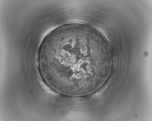 X0000094060987200711021441
