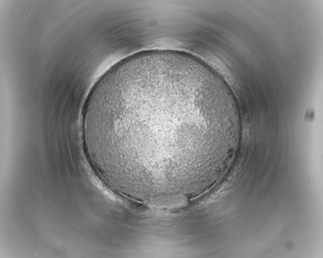 X0000094060990200711021441