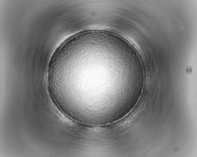 X0000094060992200711021441