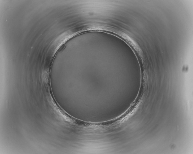 X0000094060993200711021441