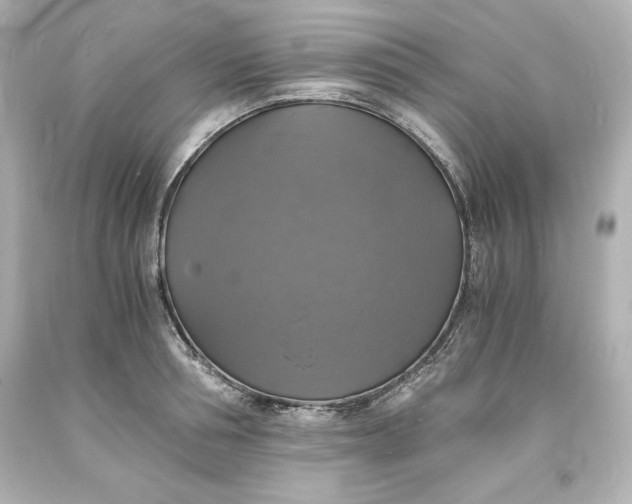 X0000094060994200711021441