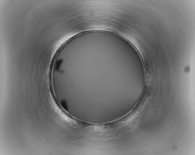 X0000094060995200711021441