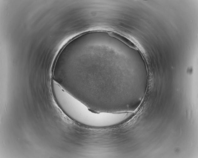 X0000094060996200711021441