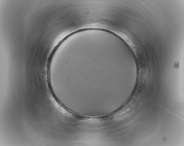 X0000094060998200711021441