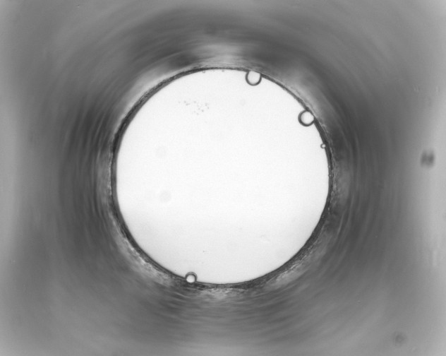 X0000094061000200711021441