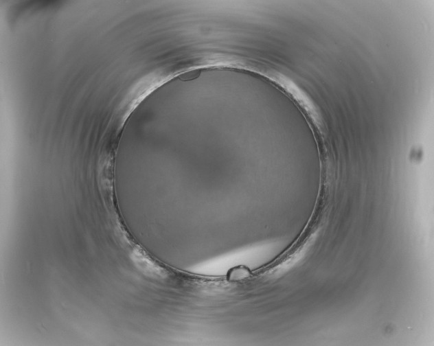 X0000094061001200711021441