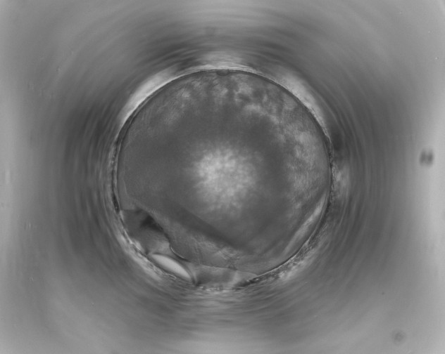 X0000094061002200711021441