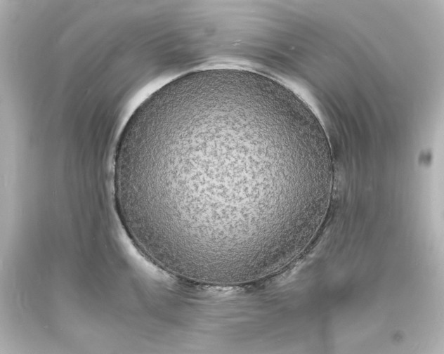 X0000094061003200711021441