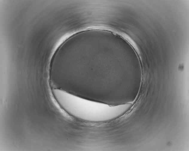 X0000094061005200711021441