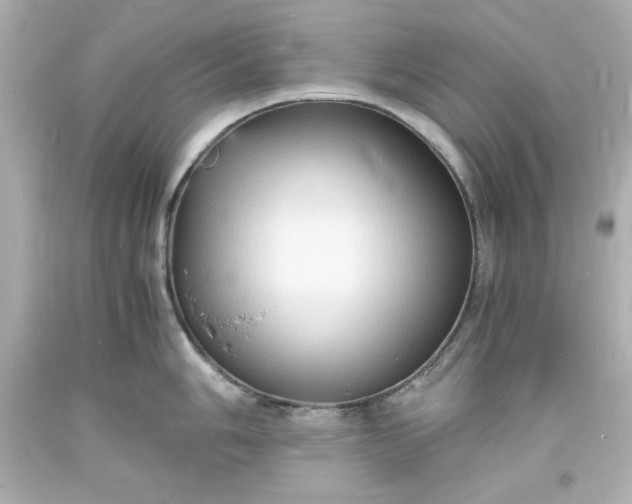 X0000094061006200711021441