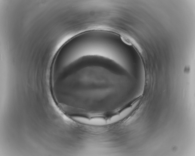 X0000094061007200711021441