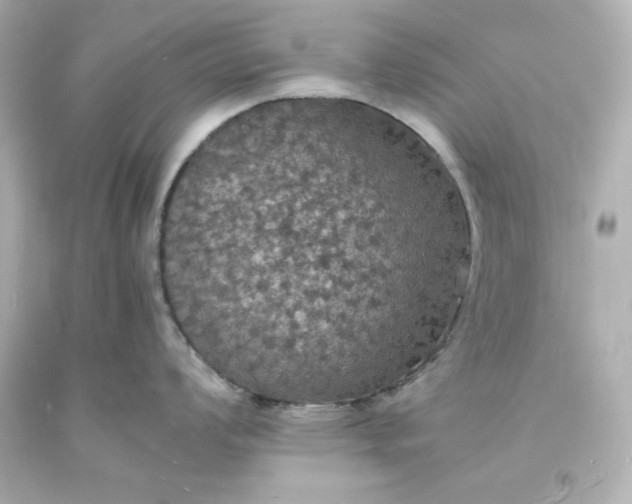 X0000094061008200711021441