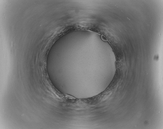X0000094061009200711021440