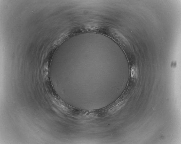 X0000094061011200711021440