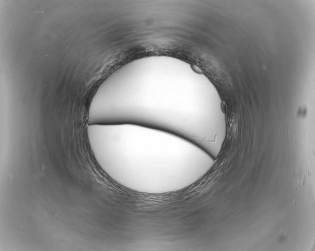 X0000094061012200711021440