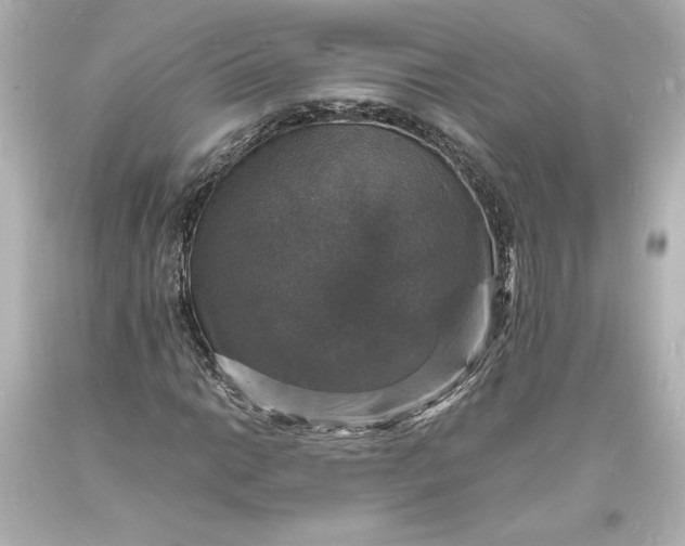 X0000094061014200711021440