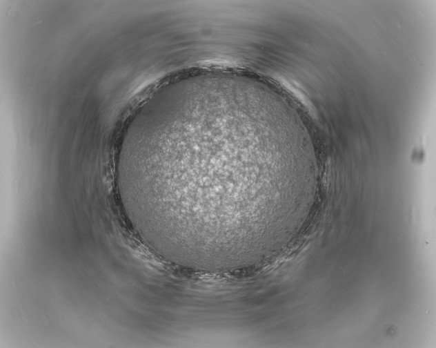 X0000094061015200711021440