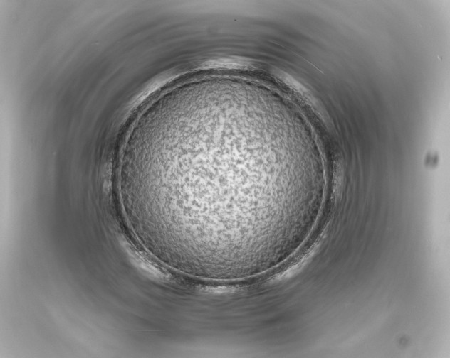 X0000094061017200711021441