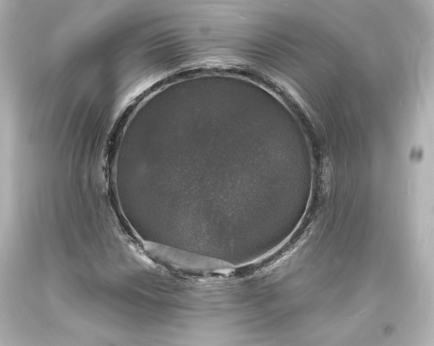 X0000094061018200711021441