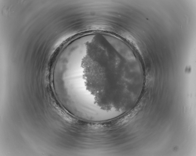 X0000094061019200711021441