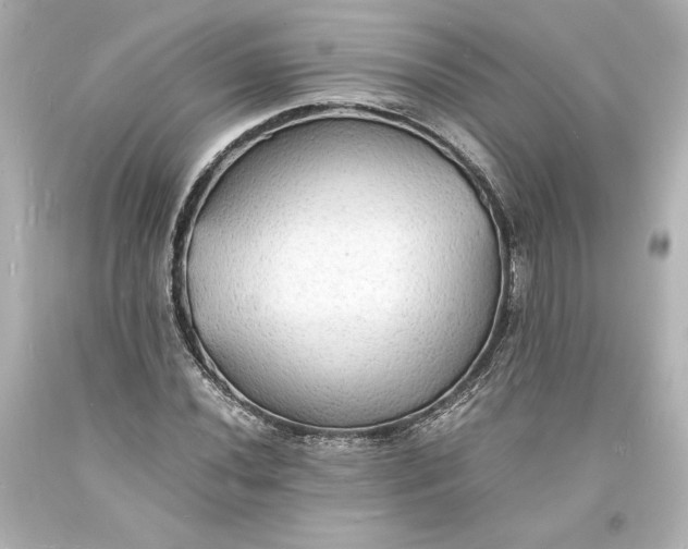 X0000094061020200711021441