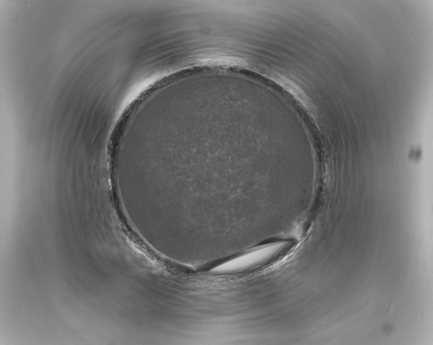 X0000094061022200711021441