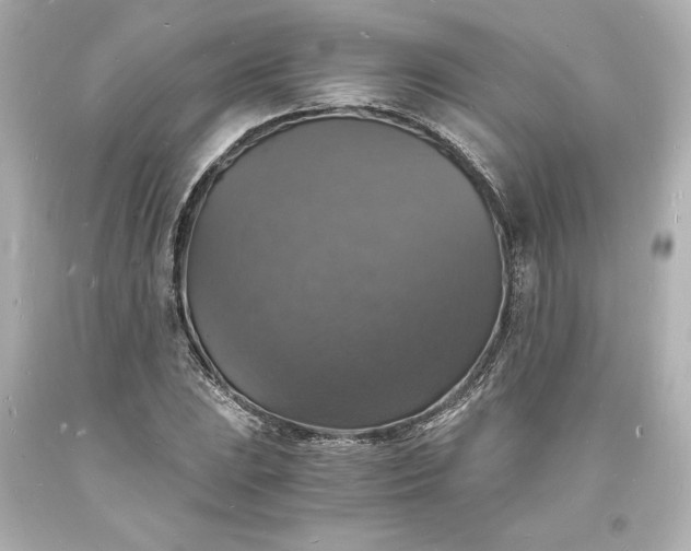 X0000094061023200711021441