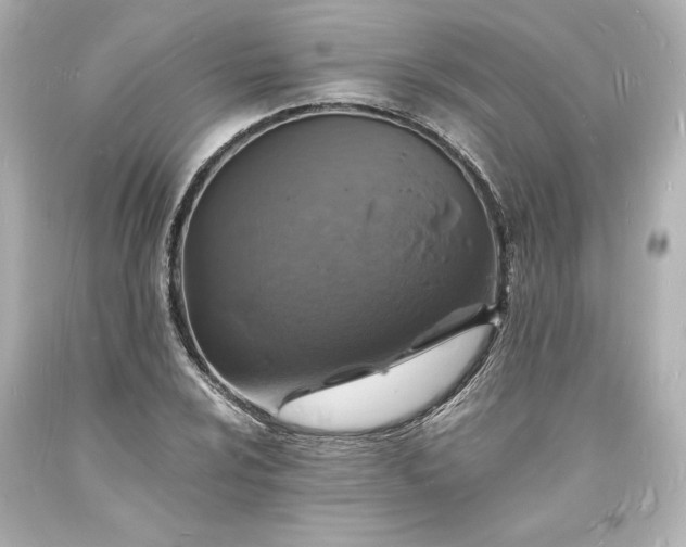 X0000094061024200711021441